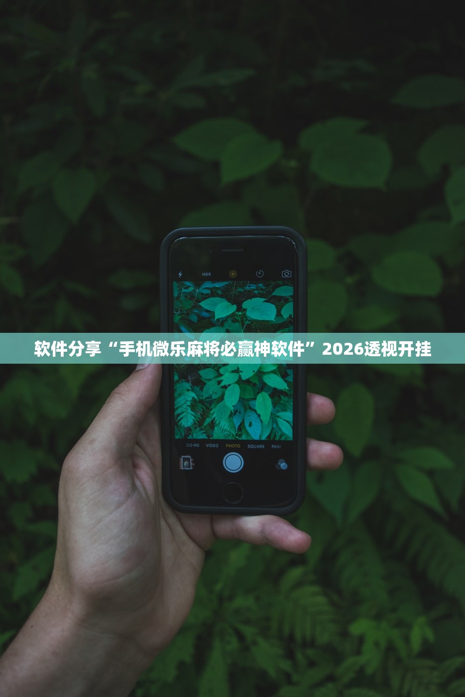 【大连疫情最新进展/大连疫情最新进展情况】 【大连疫情最新进展/大连疫情最新进展情况】