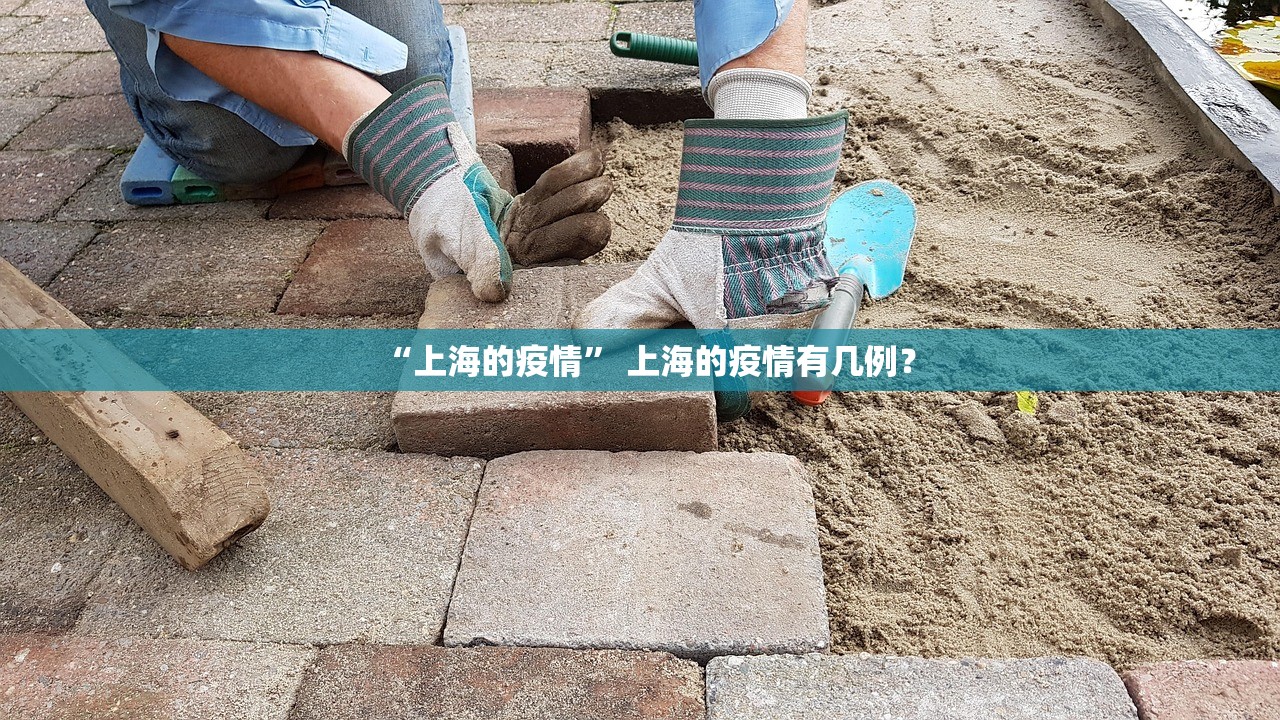 今日教程“老友十三水怎么才能赢	”详细分享装挂步骤