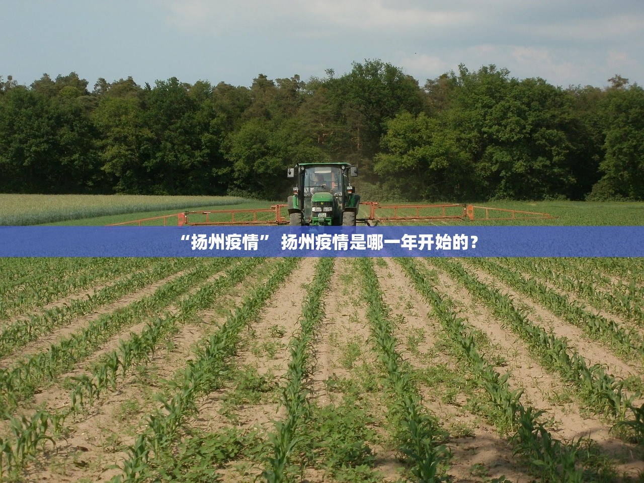 【江苏新增本土确诊/江苏 新增 确诊】