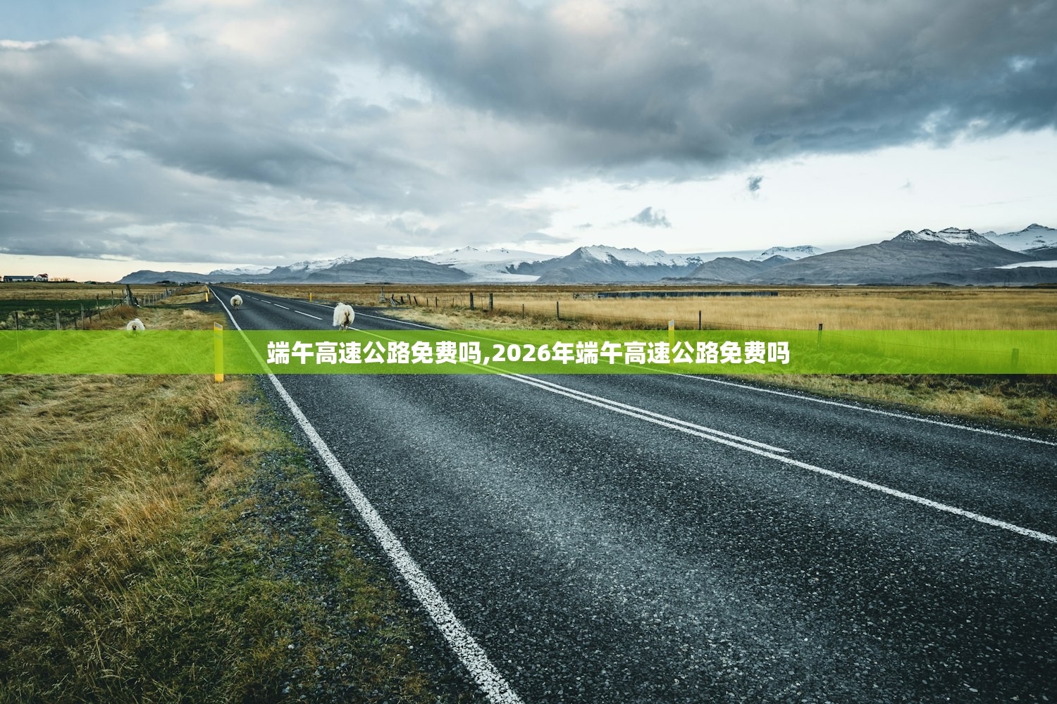 莆田疫情最新情况︰(莆田疫情最新公告)