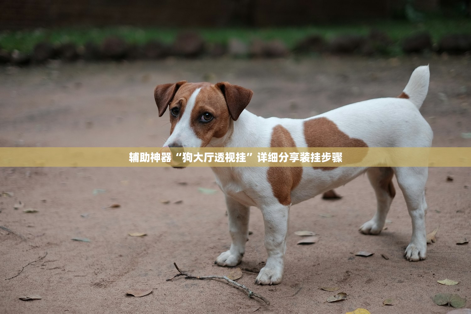 广东新增46例本土确诊东莞24例.广东东莞新增8例病例 广东新增46例本土确诊东莞24例.广东东莞新增8例病例