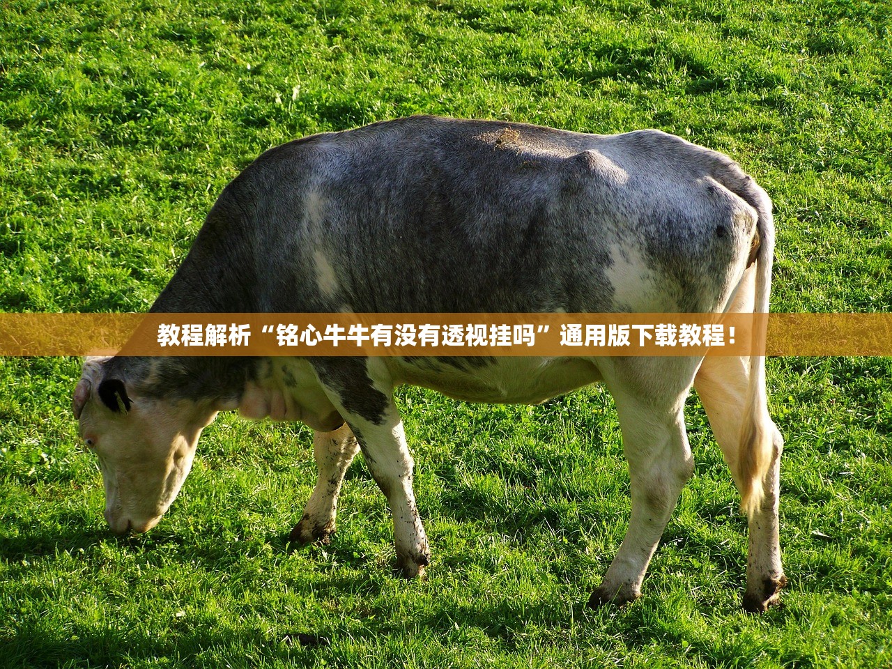 必学教你安装“德扑之星德州app透视开挂”详细分享装挂步骤