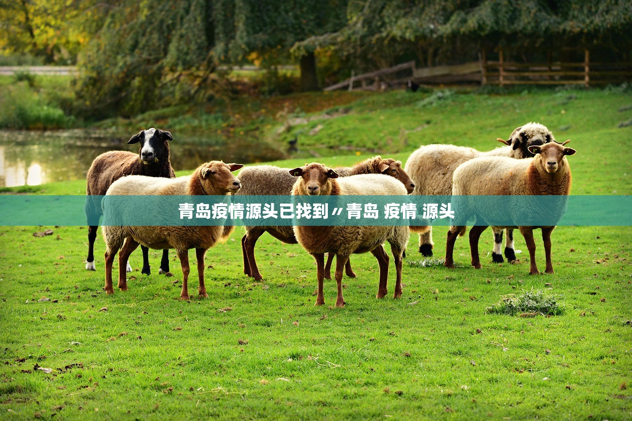 实操教程“微乐四川麻将开挂免费下载安装”揭秘透视辅助万能挂用法