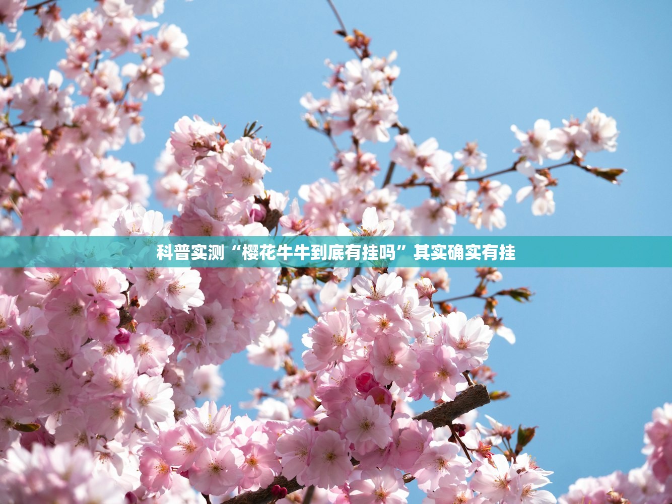 安装程序教程“衢州都莱双扣怎么要好牌	”其实确实有挂