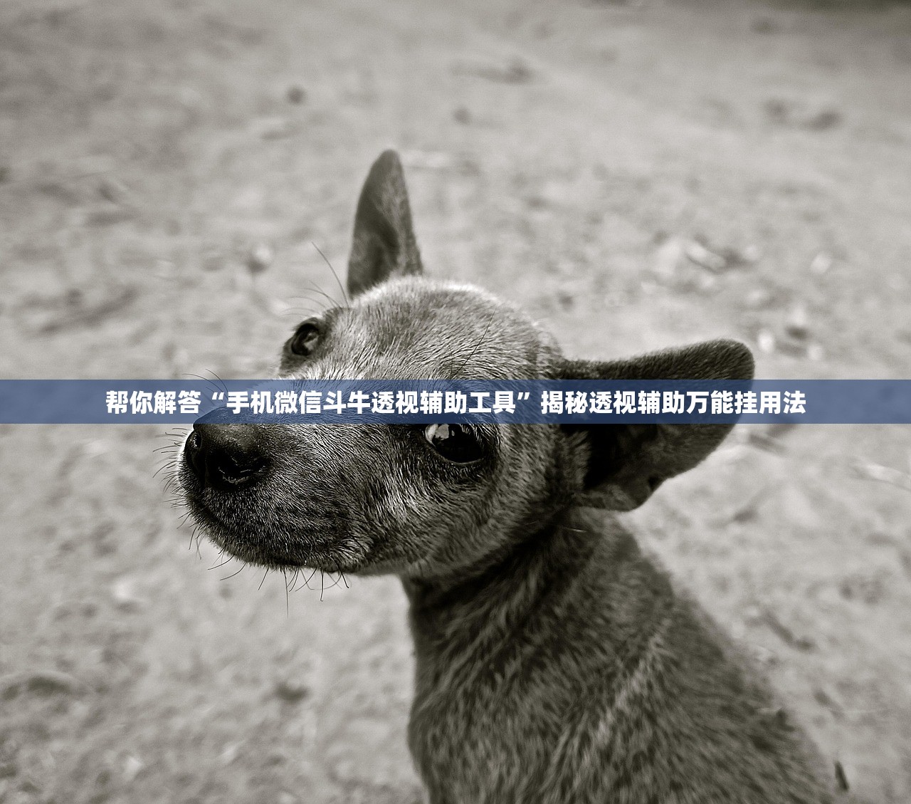 开挂辅助工具“麻友圈2透视辅助	”通用版下载教程！