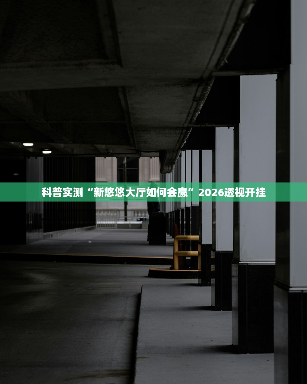 专家分析“新长虹金花怎么装挂	”2026开挂教程步骤