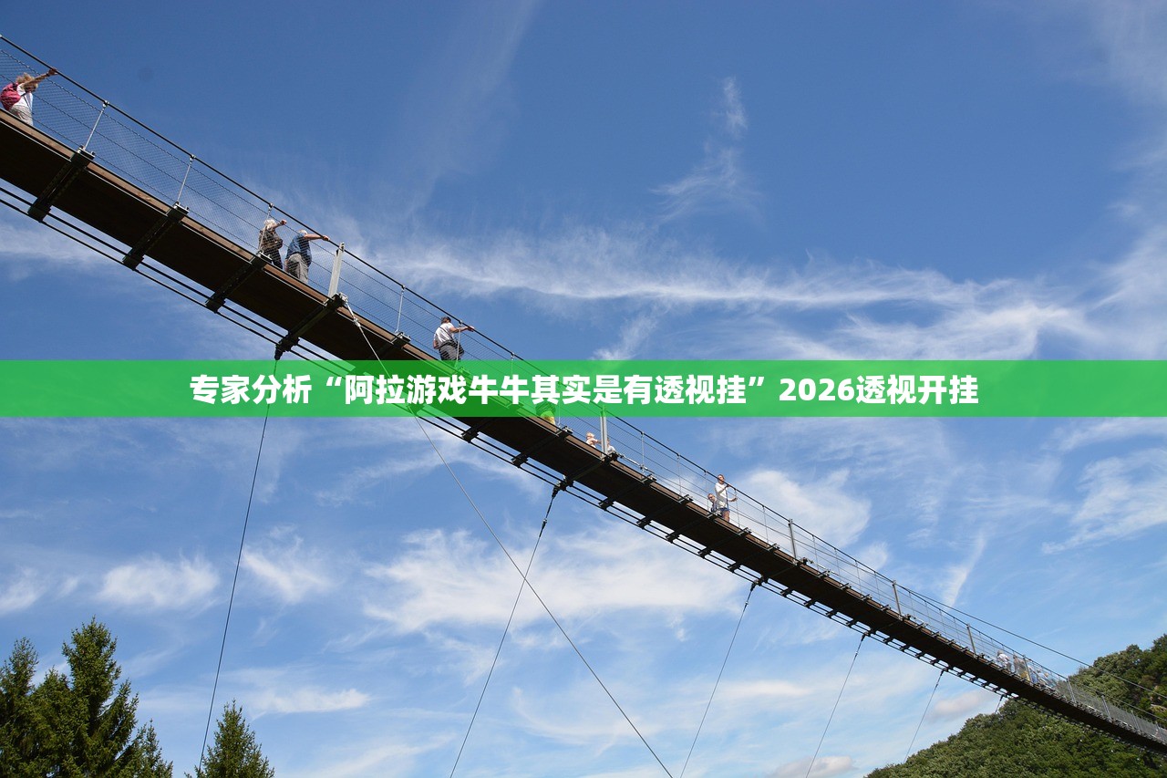 实操教程“皮皮云南麻将小程序必赢神器”揭秘透视辅助万能挂用法