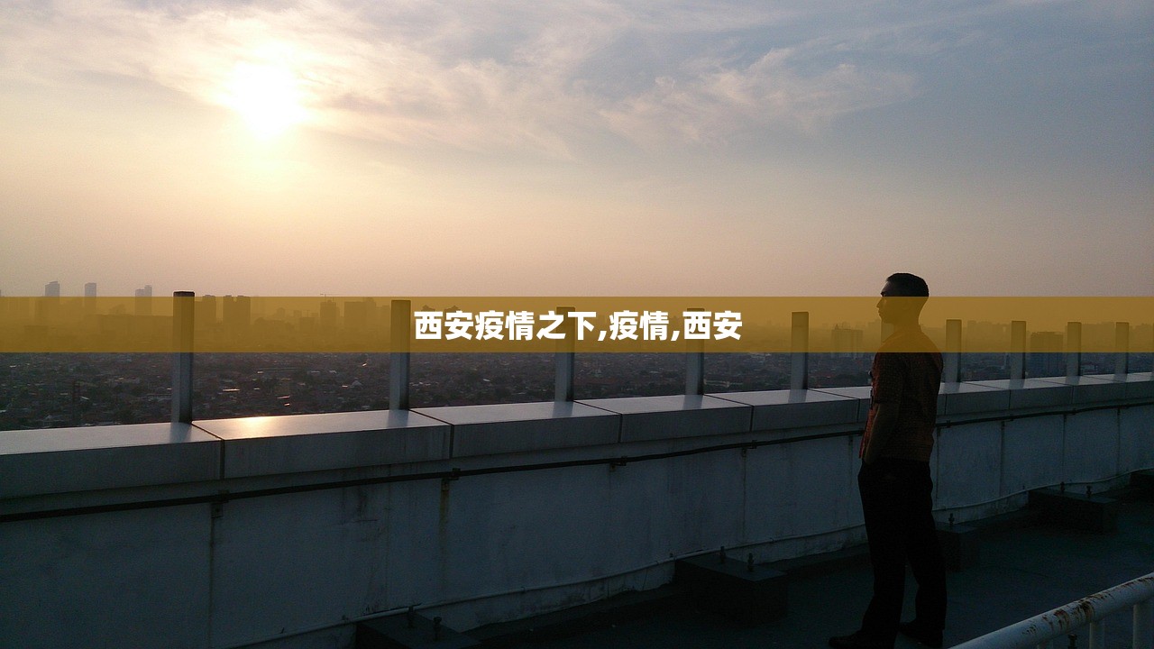 实操教程“财神十三张透视开挂”2026透视开挂