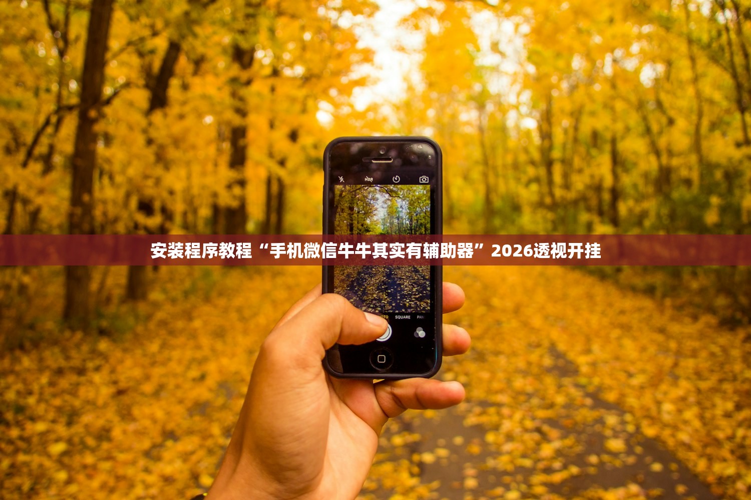 必备科技“友友联盟牛牛有透视挂吗	”(曝光透视必备猫腻)