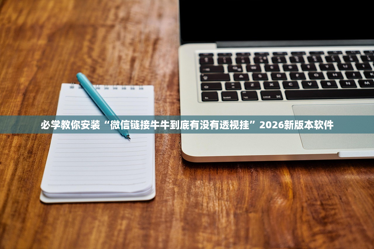 安装程序教程“晴天大厅金花到底有没有挂”开挂(透视)辅助教程