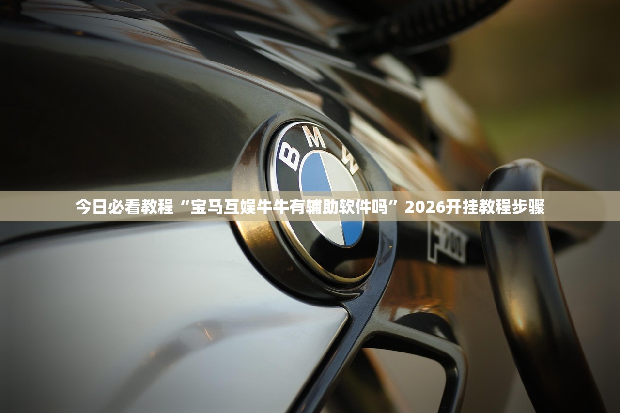 安装程序教程“晴天大厅金花到底有没有挂”开挂(透视)辅助教程