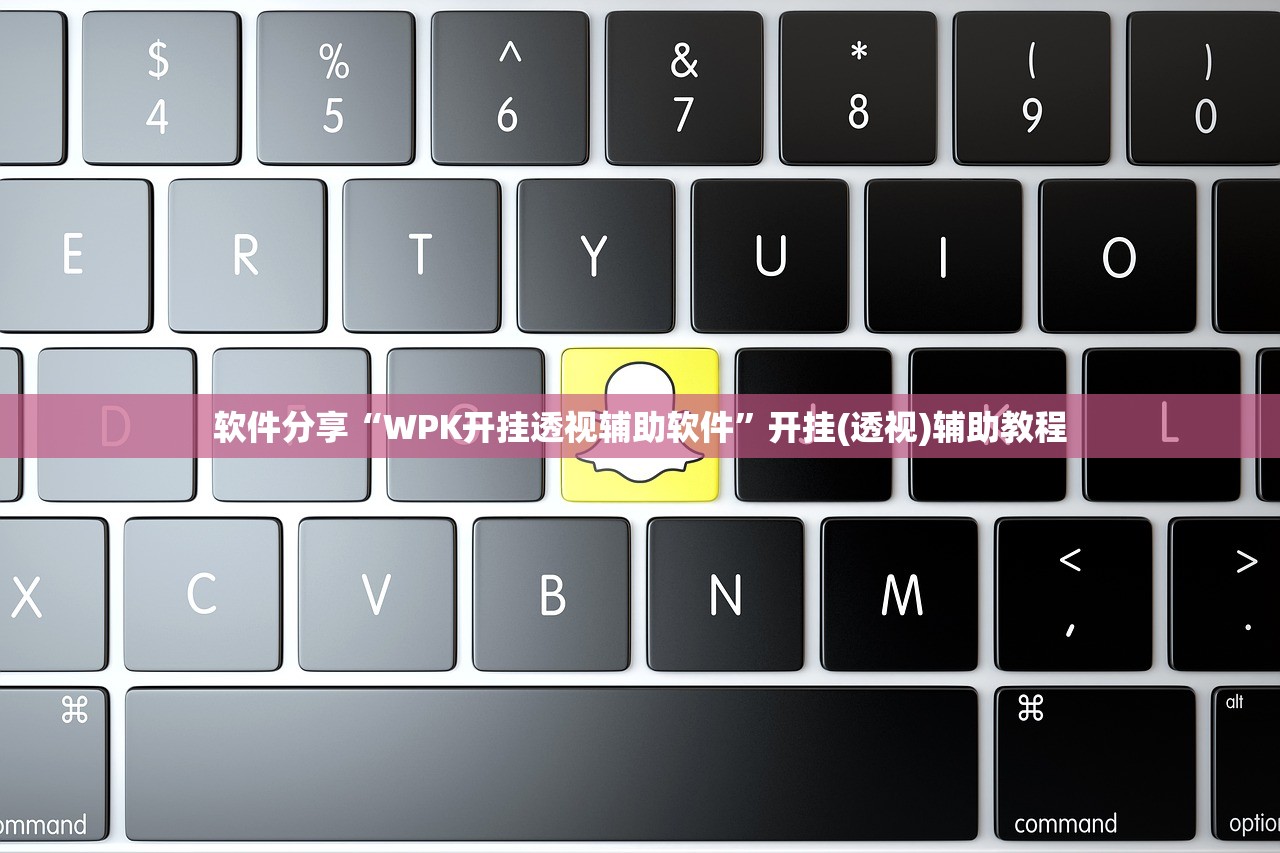 软件分享“WPK开挂透视辅助软件”开挂(透视)辅助教程