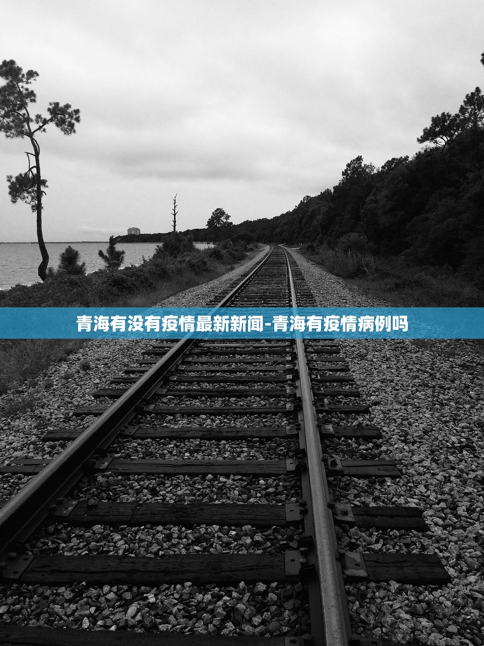 青海有没有疫情最新新闻-青海有疫情病例吗