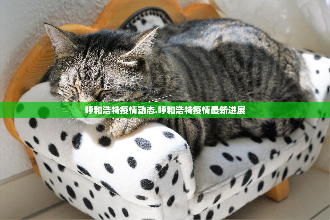 呼和浩特疫情动态.呼和浩特疫情最新进展