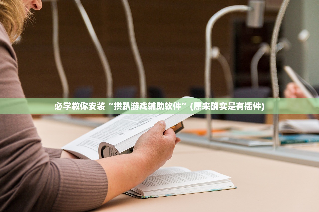 必学教你安装“拱趴游戏辅助软件”(原来确实是有插件)