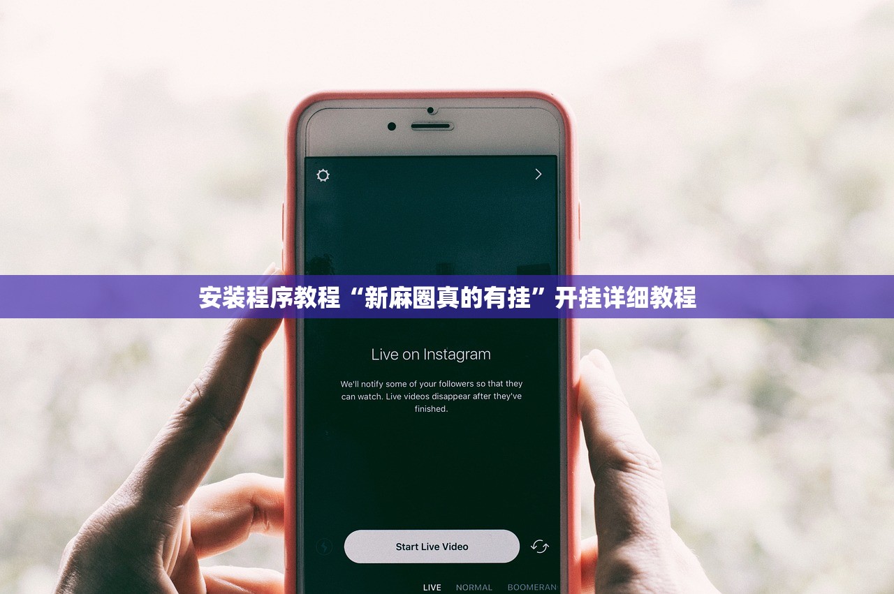 安装程序教程“新麻圈真的有挂	”开挂详细教程