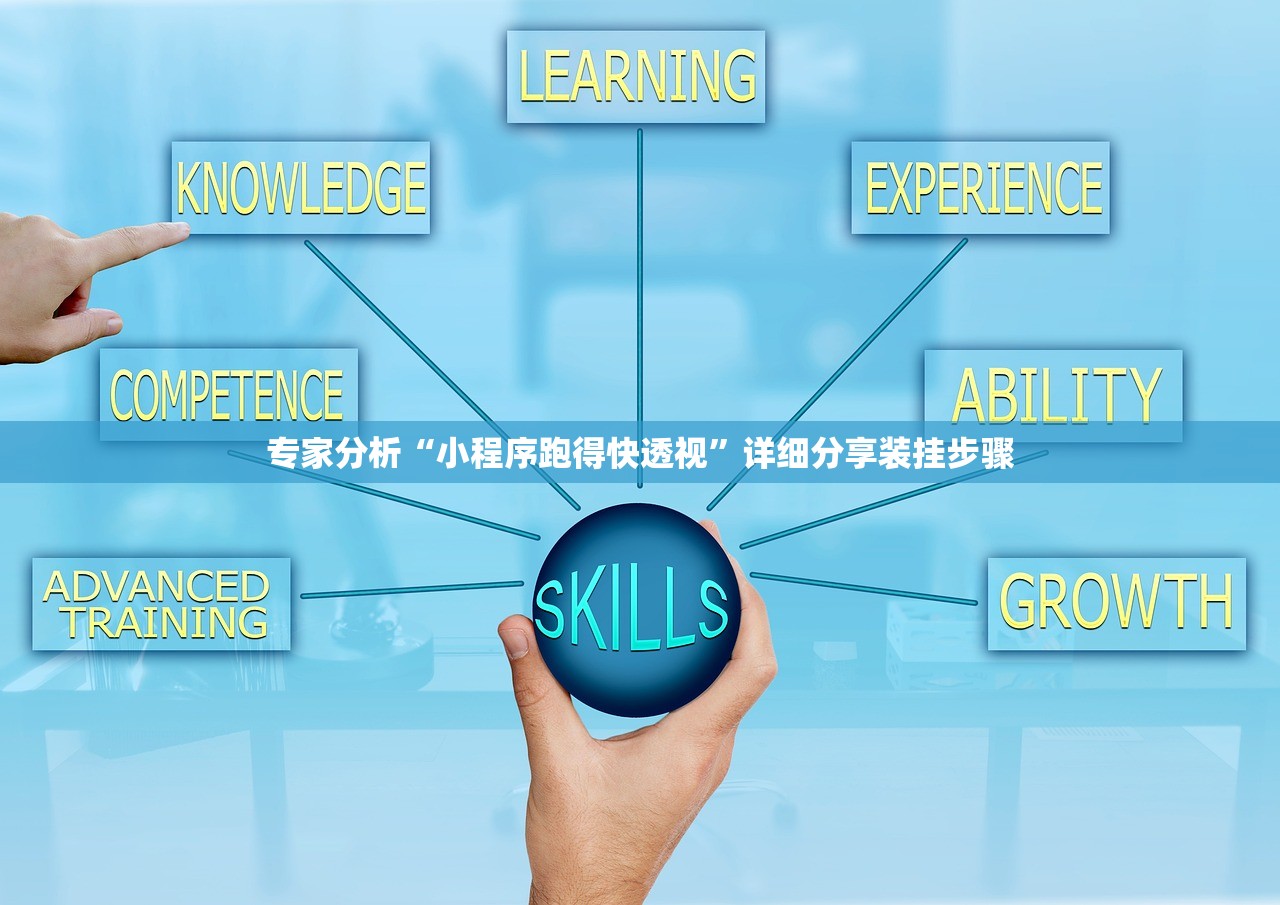 专家分析“小程序跑得快透视”详细分享装挂步骤