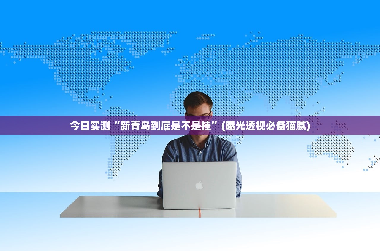 今日实测“新青鸟到底是不是挂”(曝光透视必备猫腻)