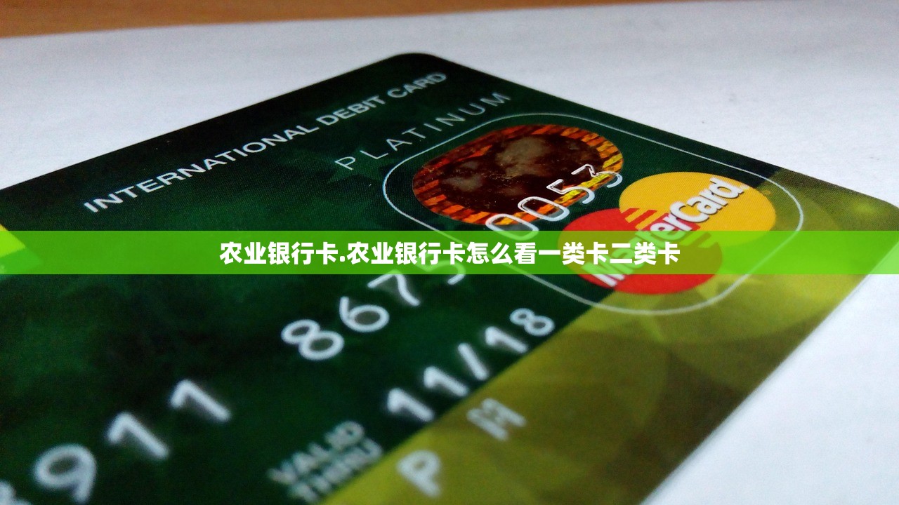农业银行卡.农业银行卡怎么看一类卡二类卡 农业银行卡.农业银行卡怎么看一类卡二类卡