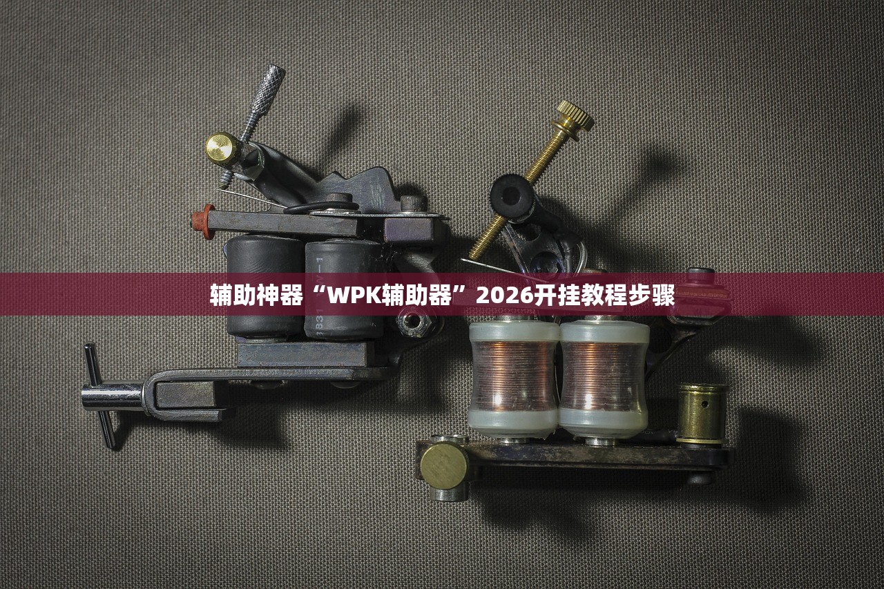 辅助神器“WPK辅助器”2026开挂教程步骤