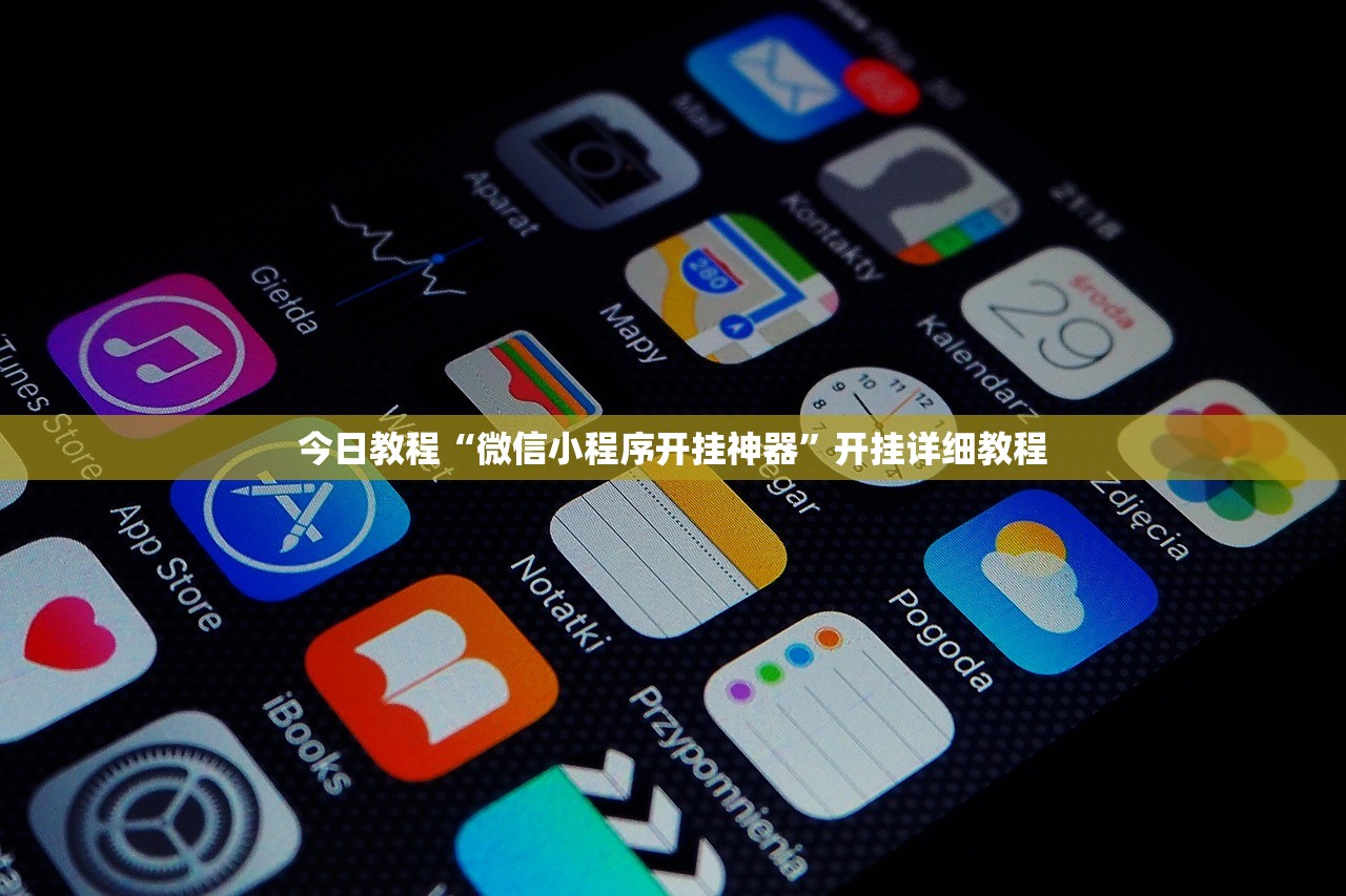 今日教程“微信小程序开挂神器	”开挂详细教程