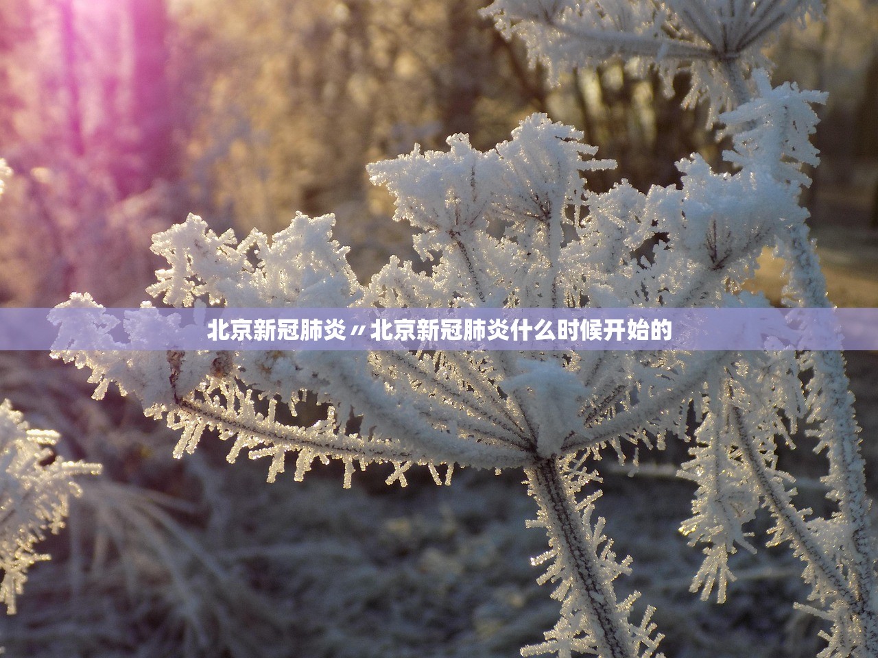 必学教你安装“铭心牛牛挂怎么卖”开挂(透视)辅助教程
