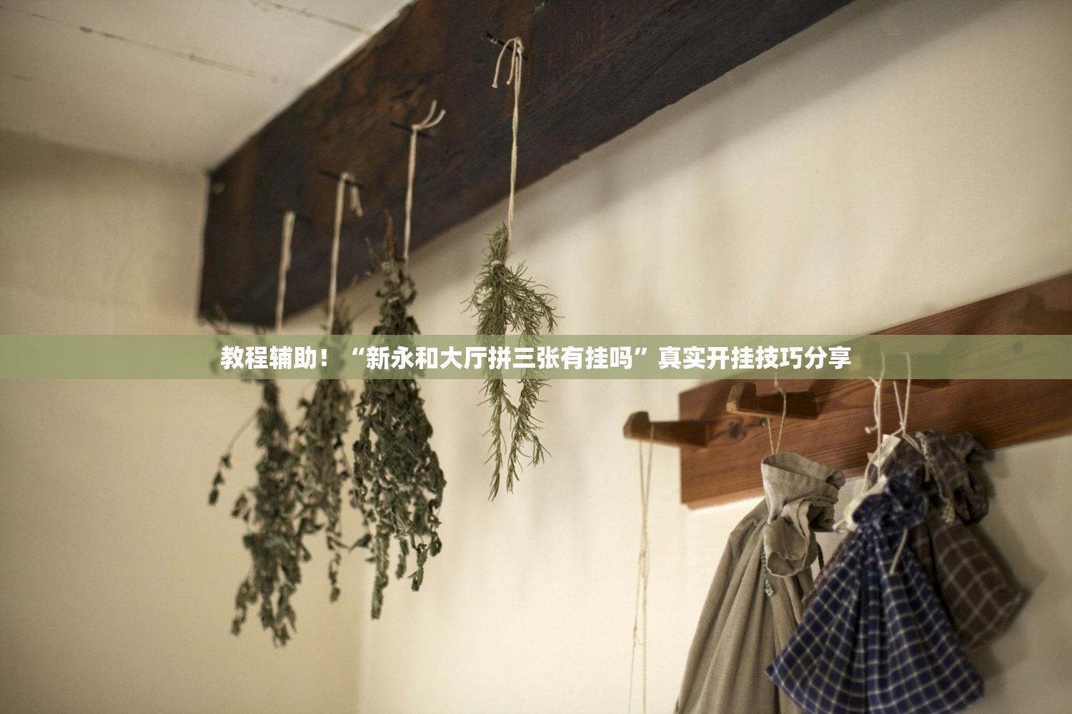 玩家必读“网上麻将有没有开挂啥意思”详细分享装挂步骤