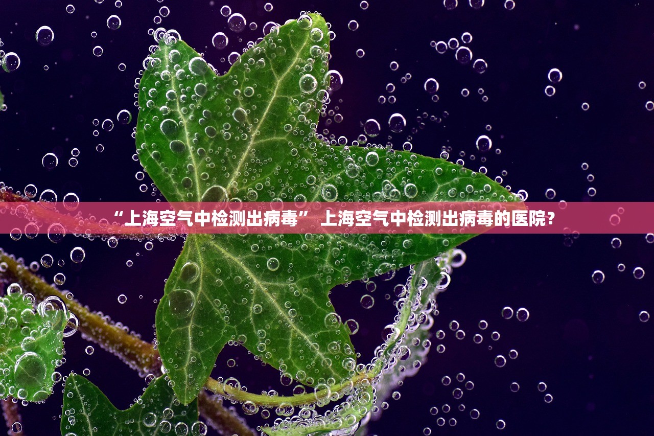 玩家必读“天天摸麻将究竟有没有挂”(曝光透视必备猫腻)