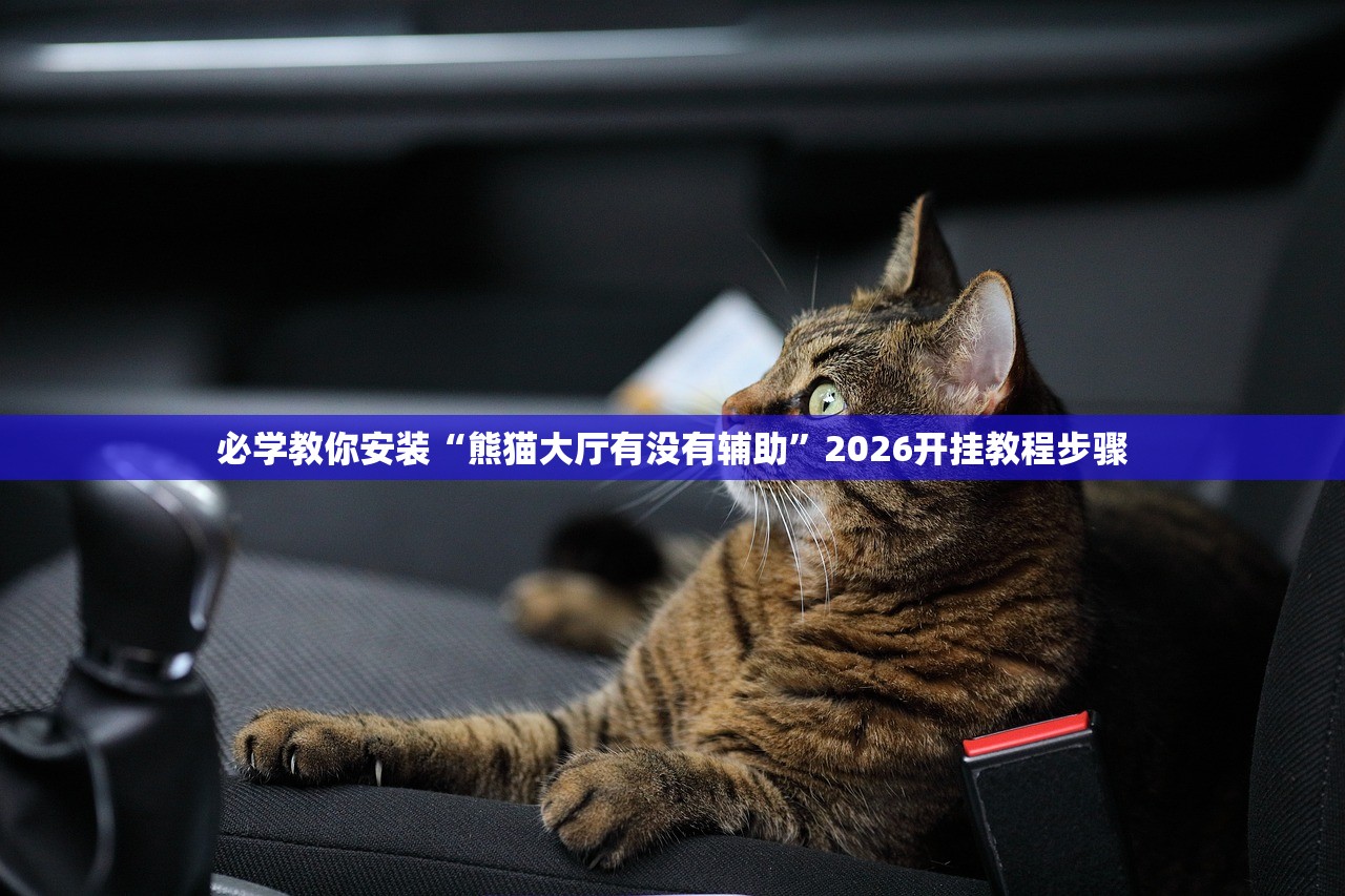 必学教你安装“熊猫大厅有没有辅助”2026开挂教程步骤