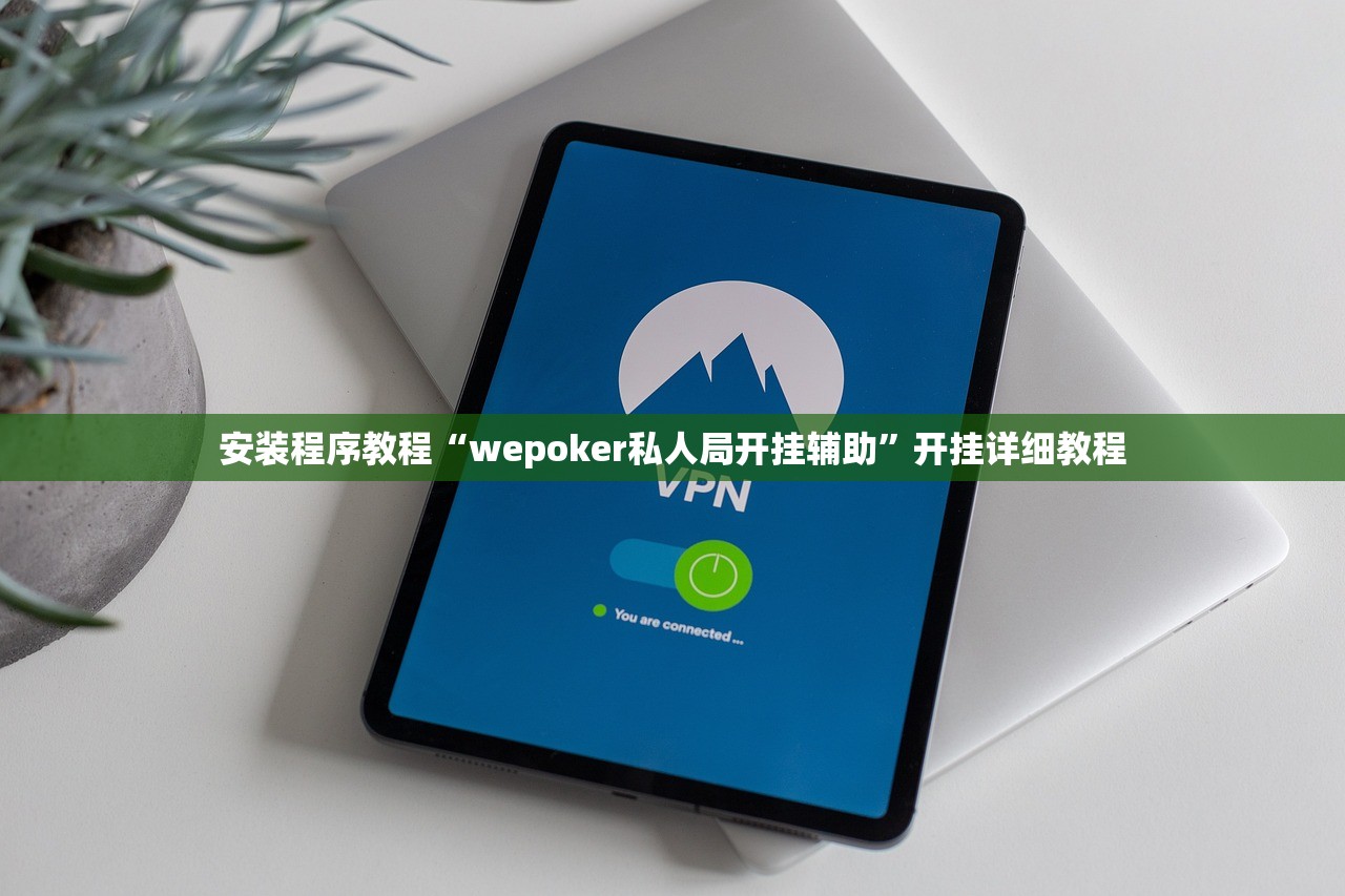 安装程序教程“wepoker私人局开挂辅助”开挂详细教程