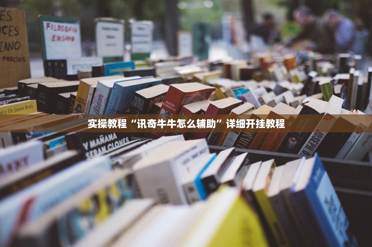 实操教程“讯奇牛牛怎么辅助”详细开挂教程