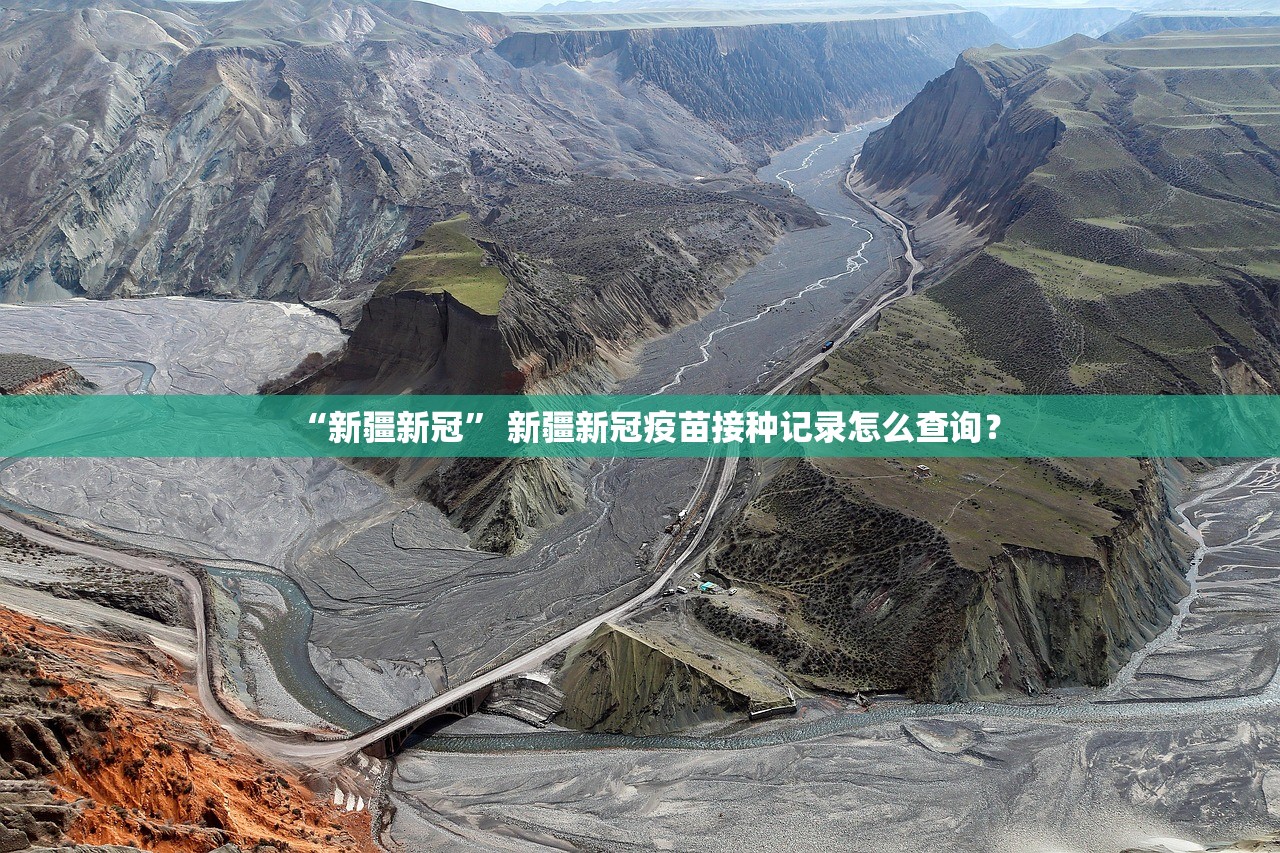 “新疆新冠” 新疆新冠疫苗接种记录怎么查询？