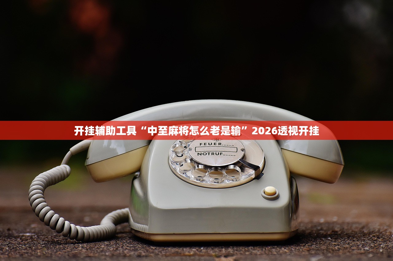 开挂辅助工具“中至麻将怎么老是输”2026透视开挂