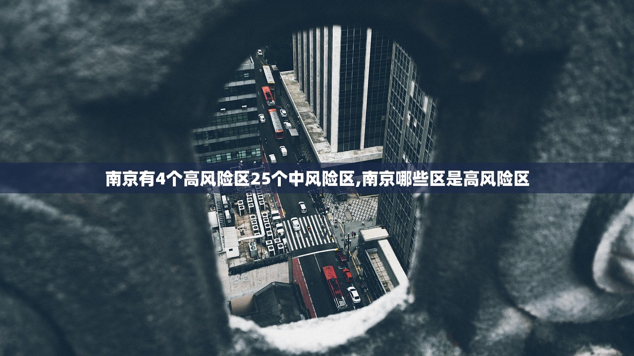 南京有4个高风险区25个中风险区,南京哪些区是高风险区
