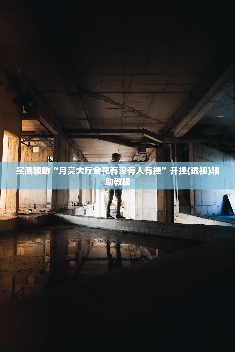 实测辅助“月亮大厅金花有没有人有挂	”开挂(透视)辅助教程