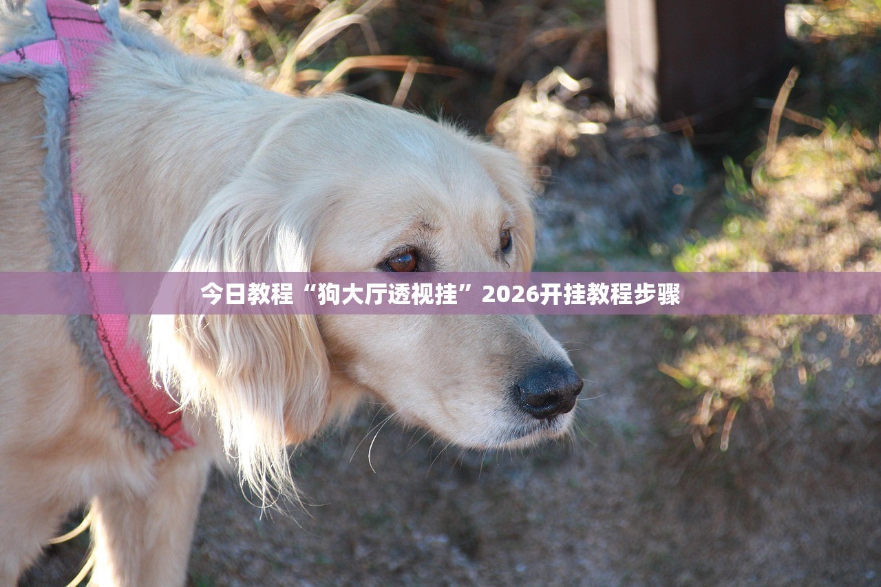 今日教程“狗大厅透视挂”2026开挂教程步骤