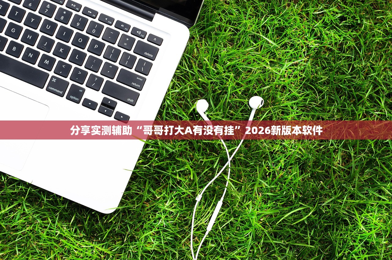 分享实测辅助“哥哥打大A有没有挂	”2026新版本软件