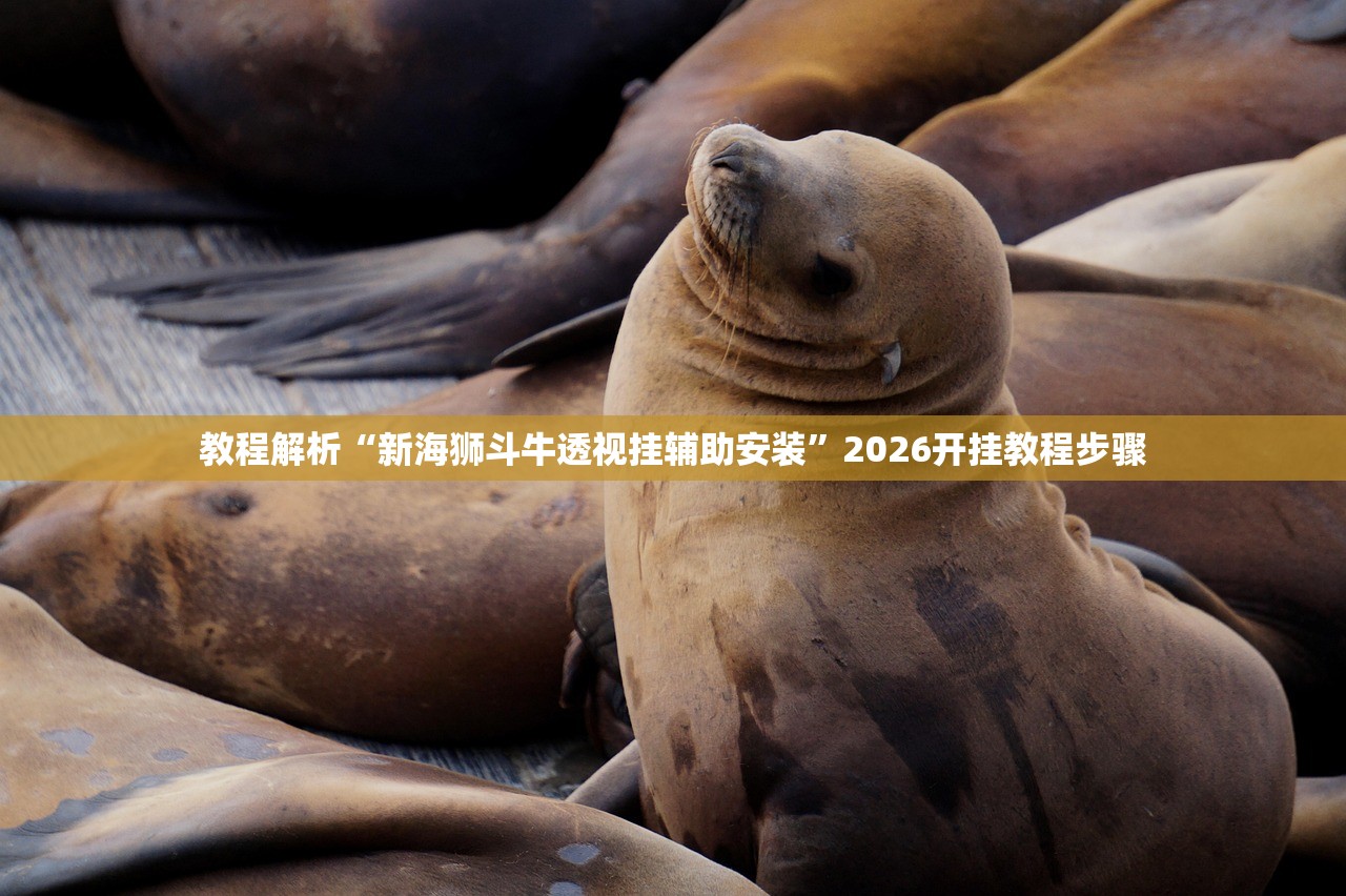 教程解析“新海狮斗牛透视挂辅助安装	”2026开挂教程步骤