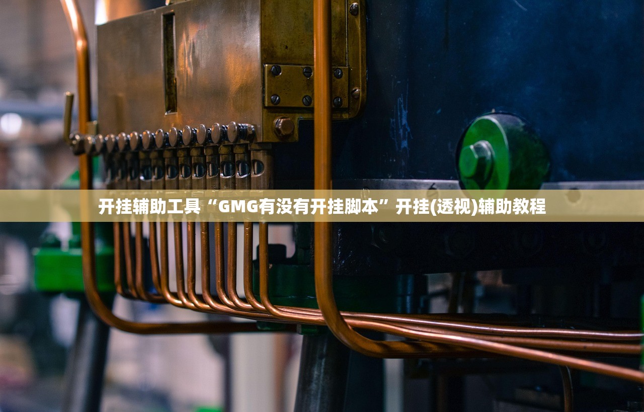 开挂辅助工具“GMG有没有开挂脚本	”开挂(透视)辅助教程