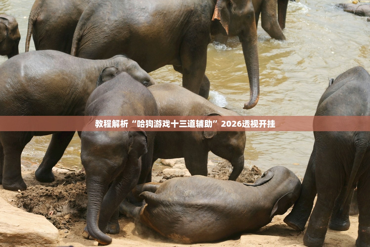 教程解析“哈狗游戏十三道辅助”2026透视开挂