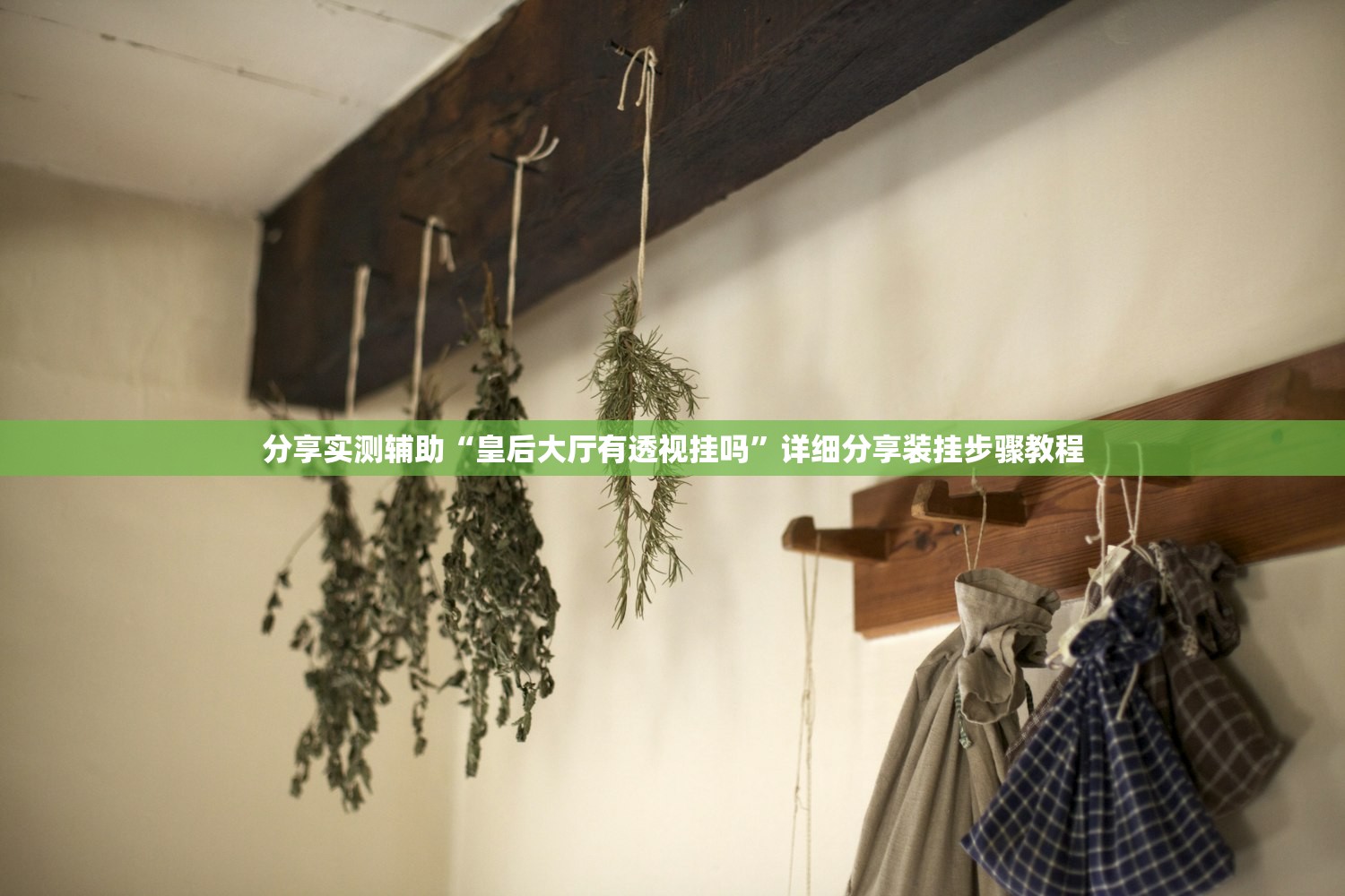 分享实测辅助“皇后大厅有透视挂吗”详细分享装挂步骤教程