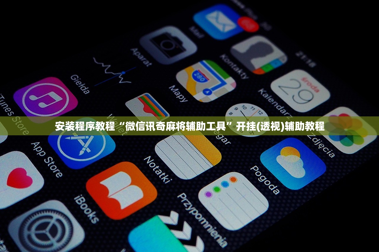 安装程序教程“微信讯奇麻将辅助工具”开挂(透视)辅助教程