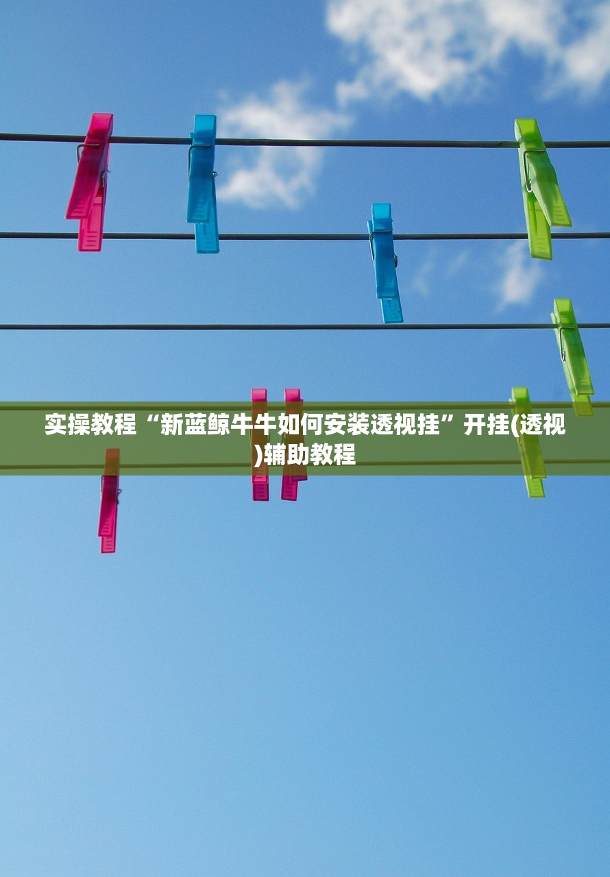 实操教程“新蓝鲸牛牛如何安装透视挂”开挂(透视)辅助教程