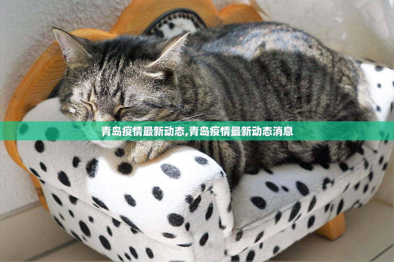 青岛疫情最新动态,青岛疫情最新动态消息