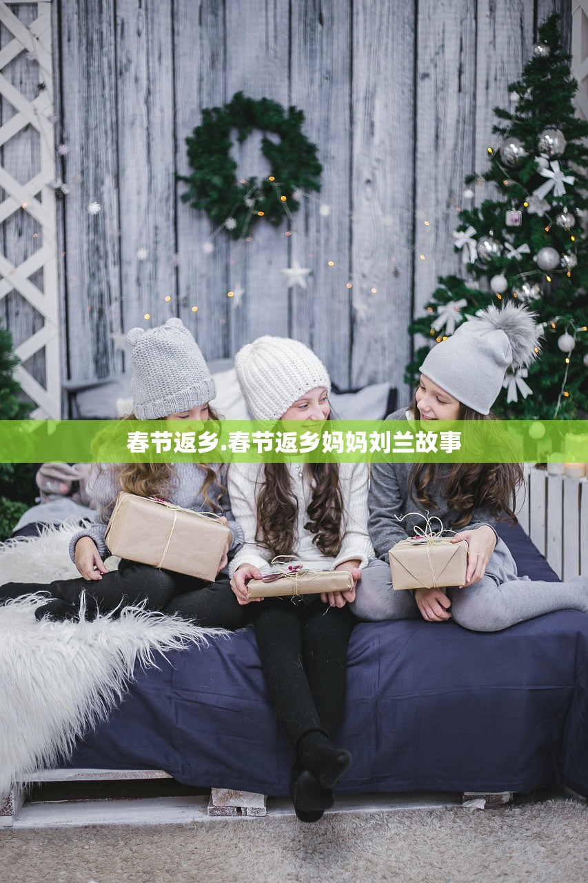 春节返乡.春节返乡妈妈刘兰故事