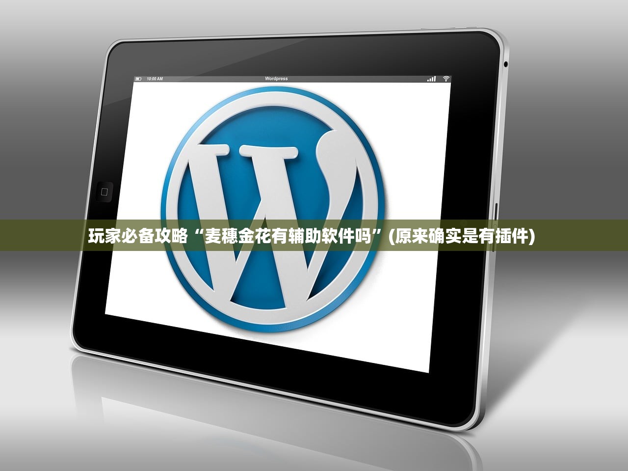 玩家必备攻略“麦穗金花有辅助软件吗”(原来确实是有插件) 