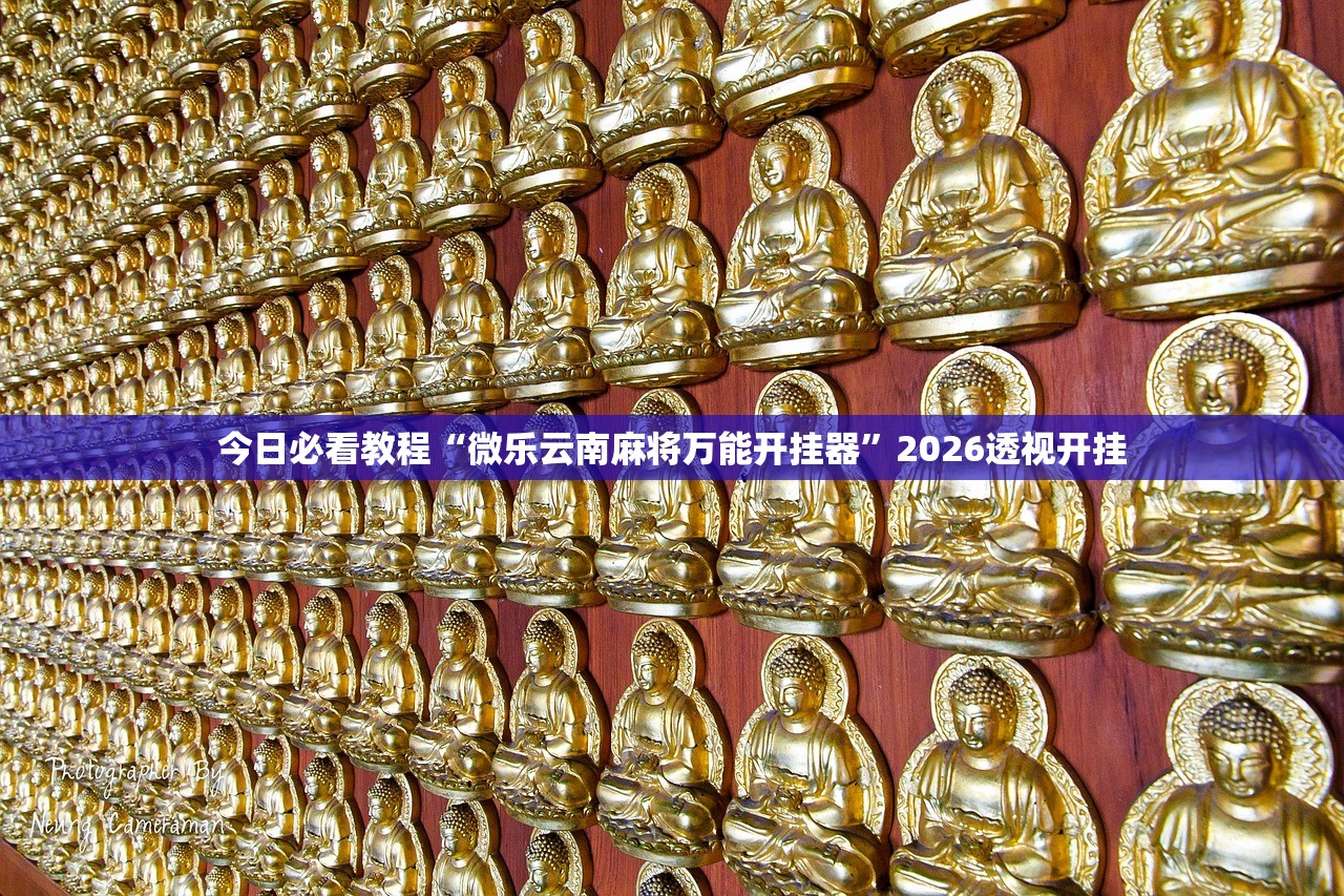 今日必看教程“微乐云南麻将万能开挂器”2026透视开挂