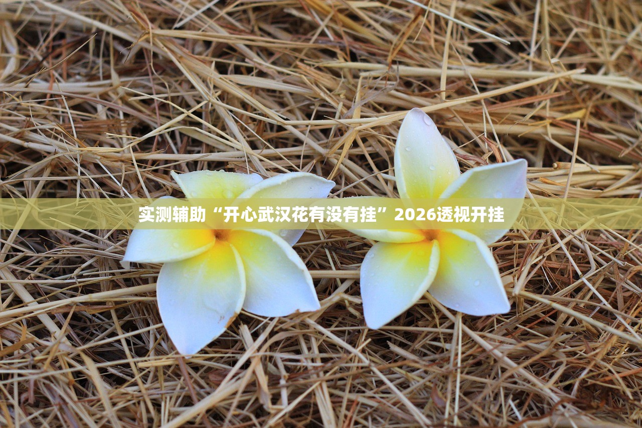 实测辅助“开心武汉花有没有挂”2026透视开挂