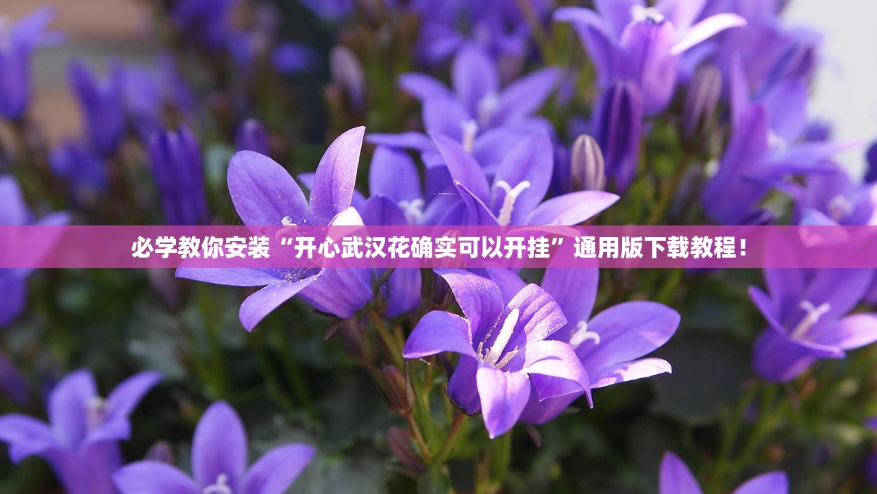 必学教你安装“开心武汉花确实可以开挂”通用版下载教程！