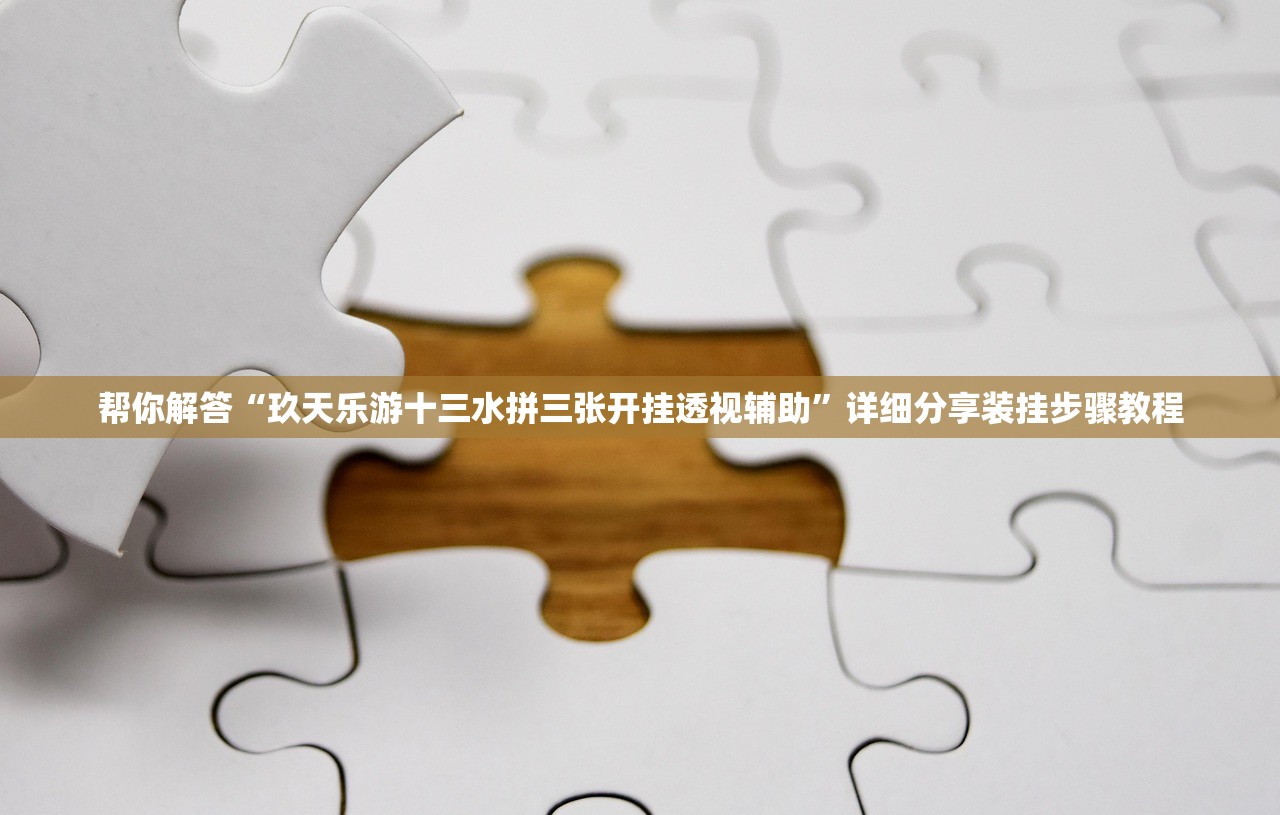 帮你解答“玖天乐游十三水拼三张开挂透视辅助”详细分享装挂步骤教程